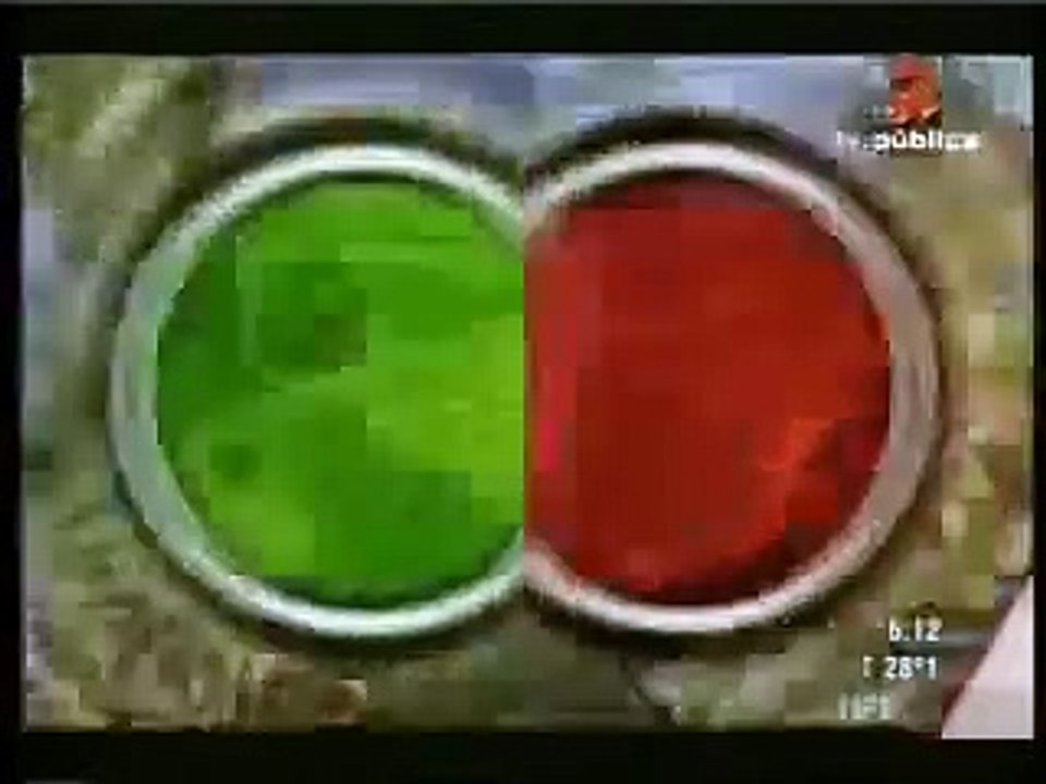 Lion vs Cobra #HD