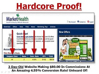 Review - Copy Paste Income