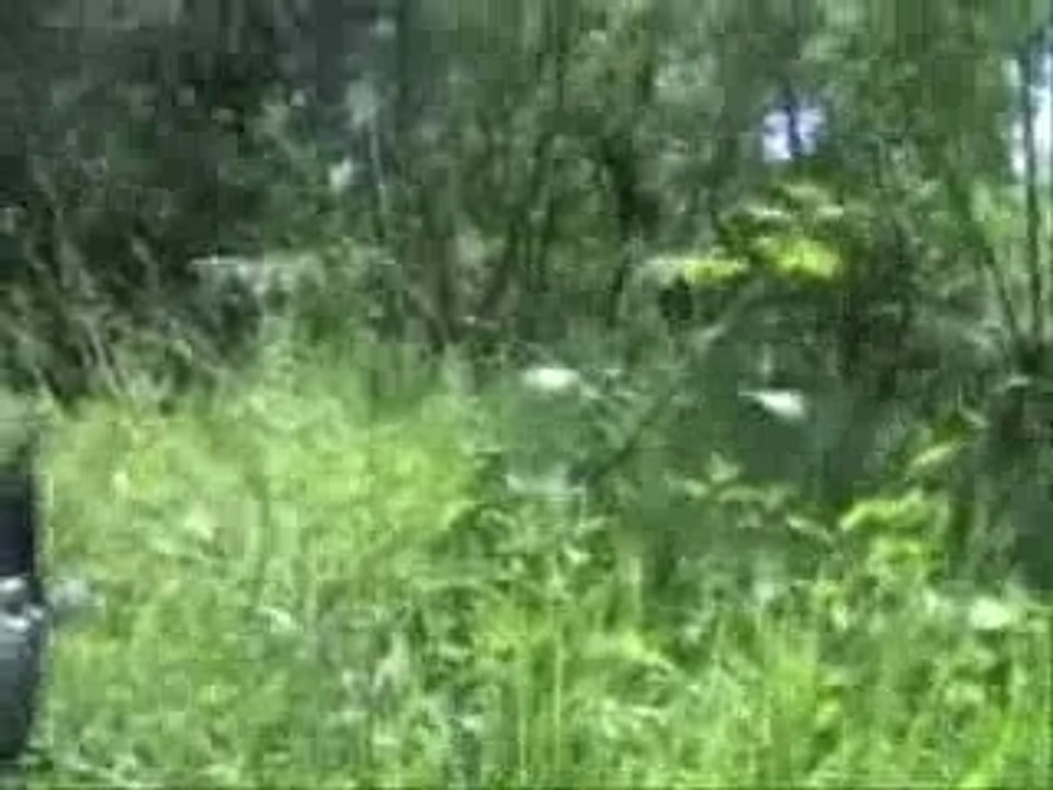 Booom 4
