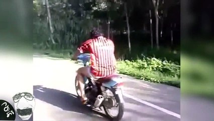 Funny clip รวมคลิปตลกสุดฮา [จุดจบสายแว๊นซ์]