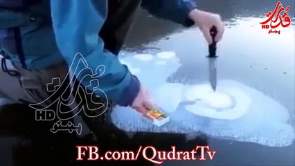 Exploiting Tabaah- mp4.