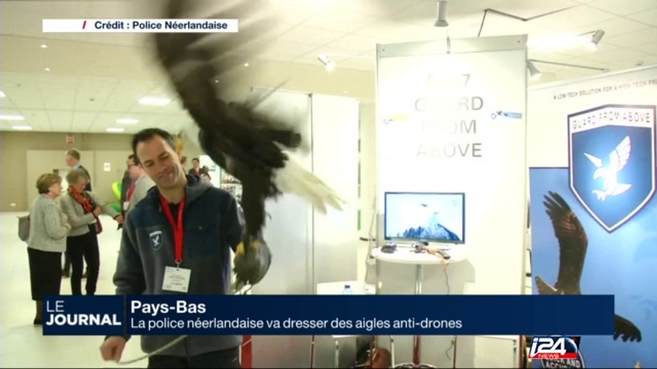 La police néerlandaise va dresser des aigles anti-drones