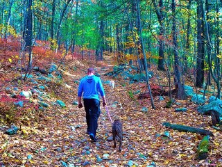 Hiking Through The Seasons With Jesse James Jamnik