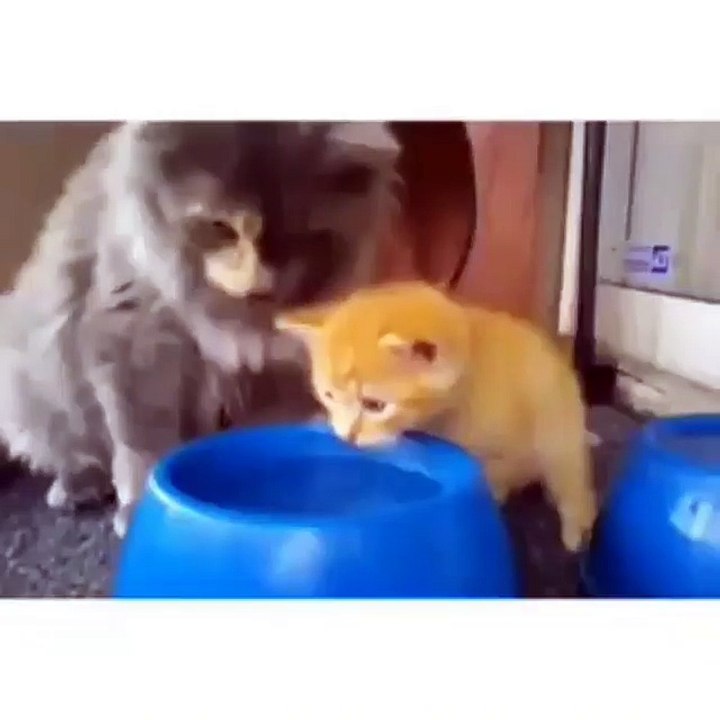 Like mom