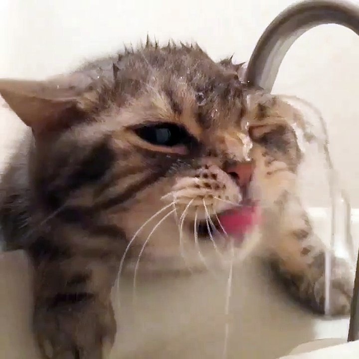 I am thirsty