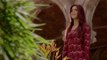 Fitoor Official Trailer - Aditya Roy Kapur - Katrina Kaif - Tabu - In Cinemas Feb.12.2016