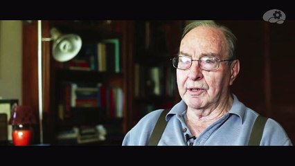 Эффект обзора