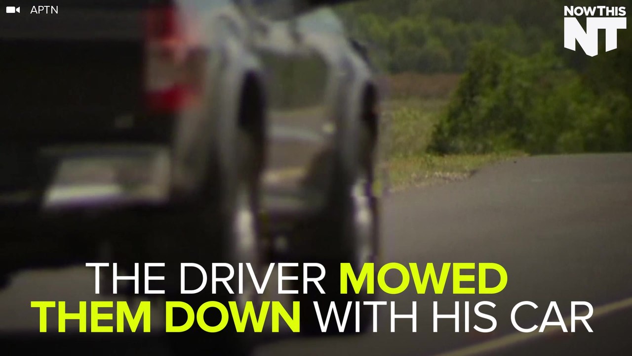 Aussie Driver Deliberately Mows Down 17 Kangaroos