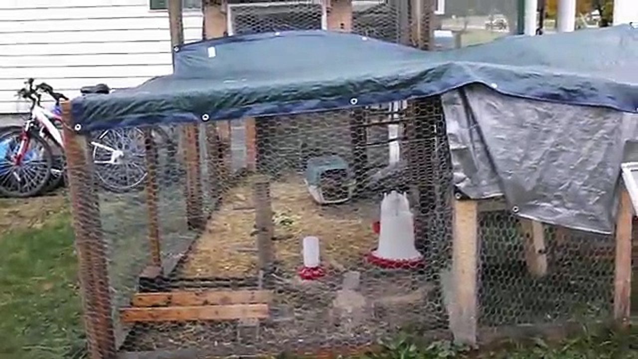 Building a chicken coop & pen area