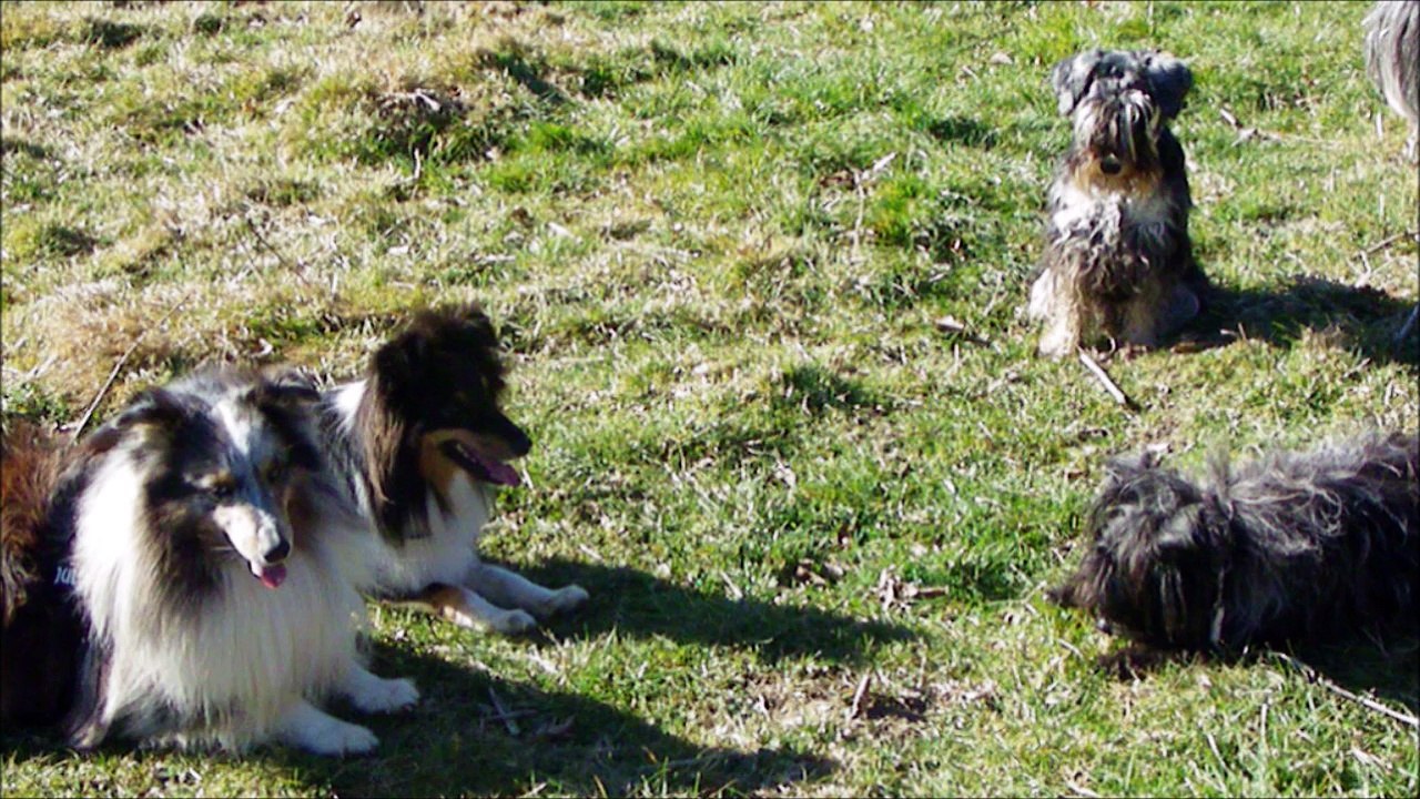 2016.01.27 - Plus de neige