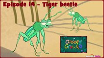 I'm a Creepy Crawly - Episode 16 - Tiger Beetle