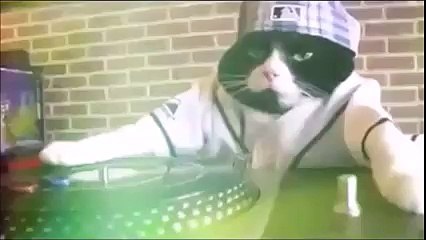Kitty is DJing WOW!!!