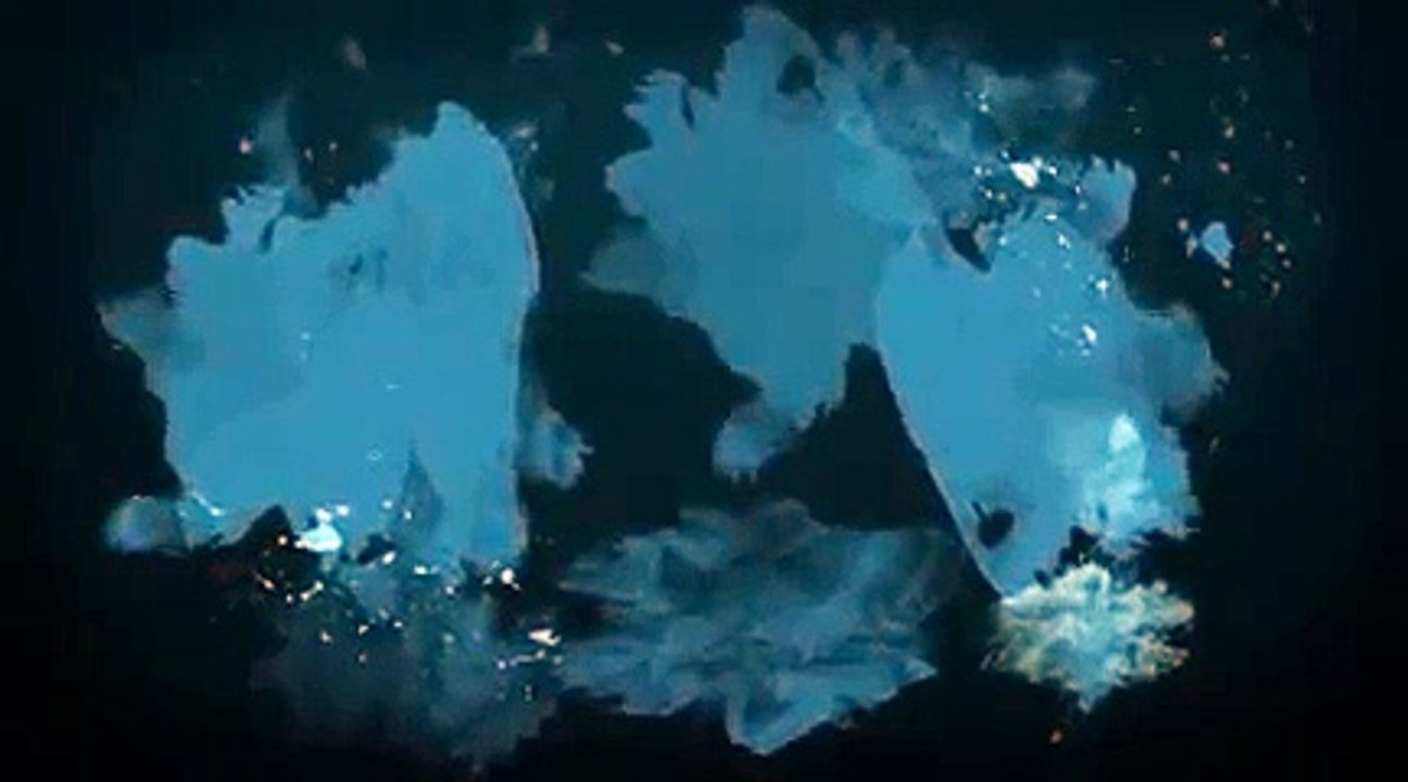 Traffic Travis Scam? Why Traffic Travis is NOT a Scam