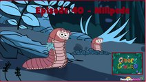 I'm Creepy Crawly - Episode 40 - Milipede