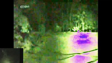 REAL ALIEN TELEPORTATION (TV FOOTAGE) - ET BILU - PROJETO PORTAL - UFO 2011 (analyse)