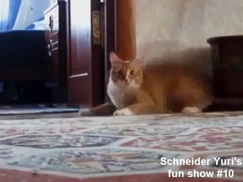 ПОЛНЫЙ+ХОХОТАЧ