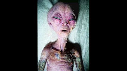 Real Grey Alien Footage Caught On Tape - The Best Moments That Have Ever Been Filmed NEW 2015 HD