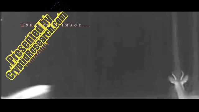 UFO Sightings 2016 - Trail Cam Footage of Alien Sightings in the Woods - 2016 Review & Close Ups