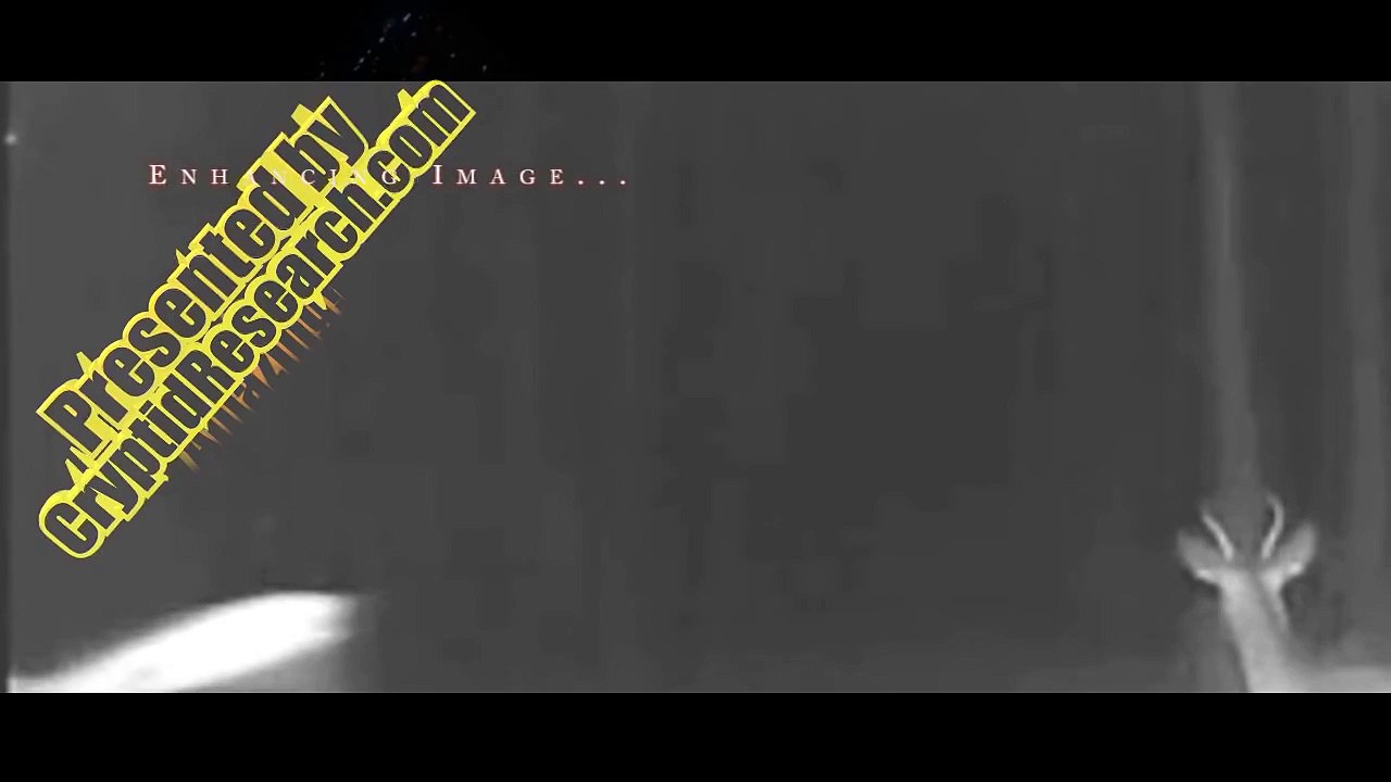 UFO Sightings 2016 - Trail Cam Footage of Alien Sightings in the Woods - 2016 Review & Close Ups