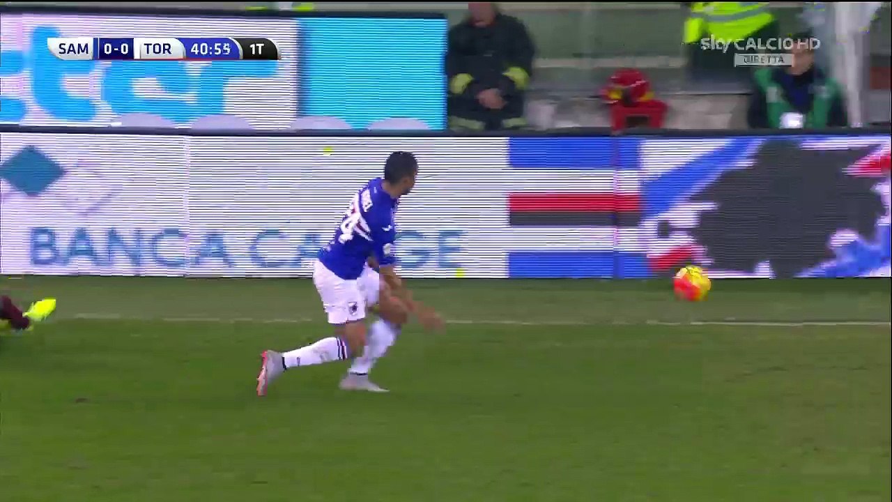 Siligardi L. Goal  - Verona 1-1 Atalanta - 03.02.2016