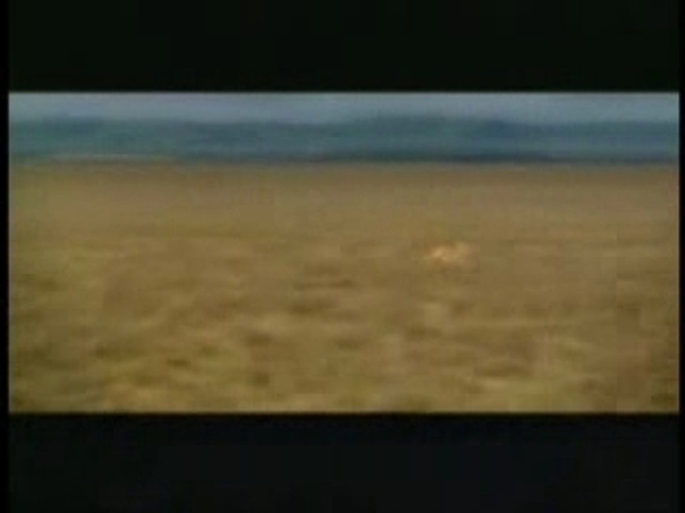 Venerdi 13....._in Africa