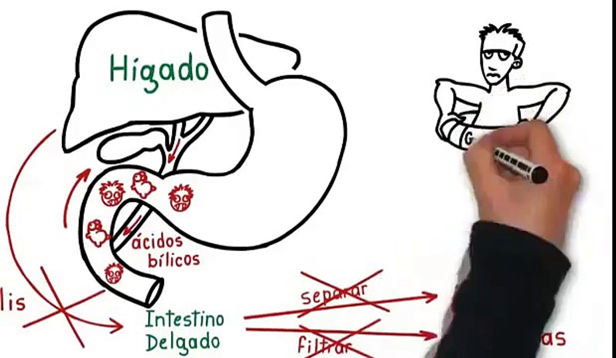 Como perder peso en poco tiempo :Factor quema grasa 2015