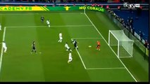 55' Ibrahimovic Z.  Paris SG 2-1 Lorient 03.02.2016 HD -