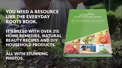 (GREAT BUY!) Everyday Roots