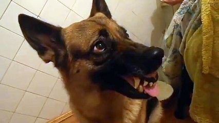 Умора))  перемена настроения