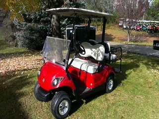 Electric Golf Cart Battery Guide