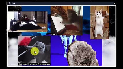 Explaindio Video Creator 2.x: Gif Looping EVC 2 021