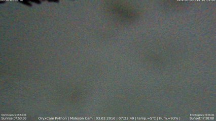 03-02-2016 Moleson (Day 34 of 365)