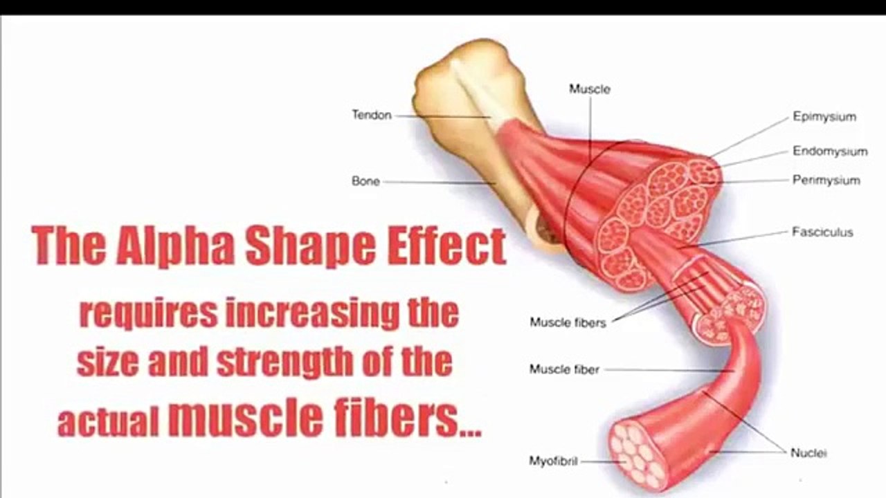 SpecForce Alpha Get Ripped  | Guys Get Ripped Special Forces Style