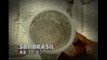 Na volta da Rachel Sheherazade, o SBT Brasil vem com tudo; veja os destaques