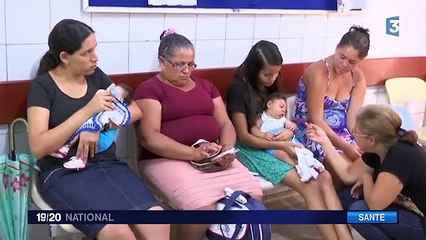 Zika : le virus serait aussi transmissible par voie sexuelle