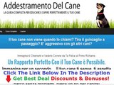 Corso Addestramento Cani Milano Discount   Bouns
