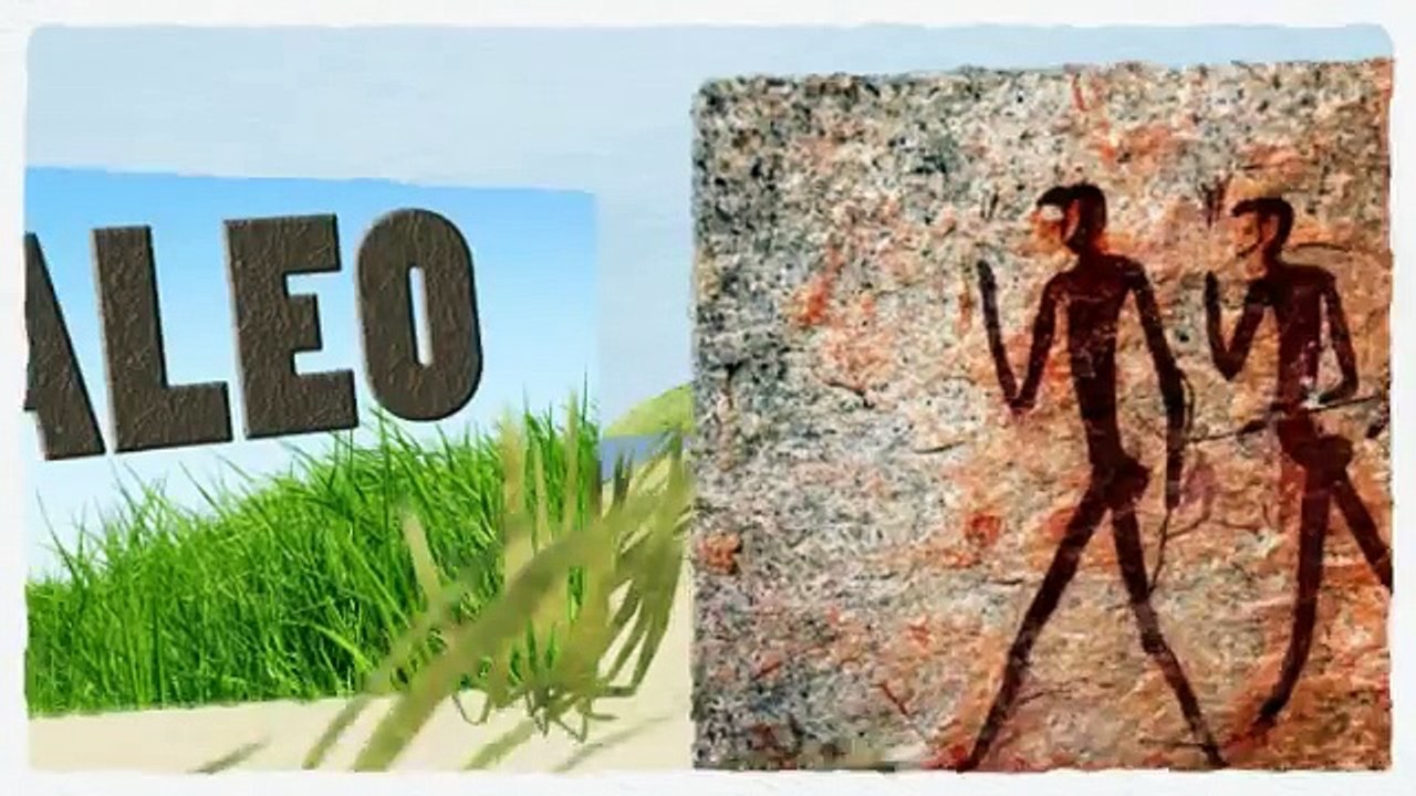 Paleo Recipe Book | Brand New Paleo Recipe Book Review