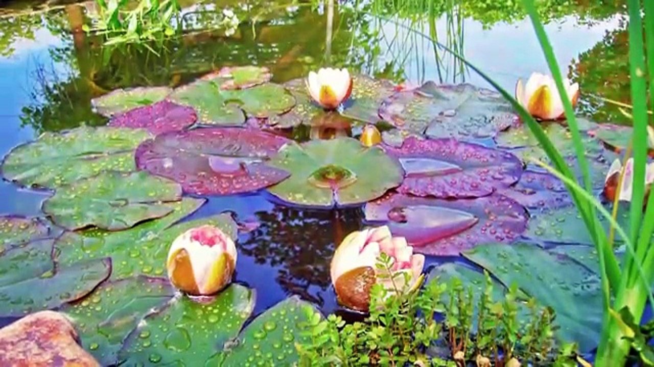 [Abundant Mind] Millionaire Mindset Preview