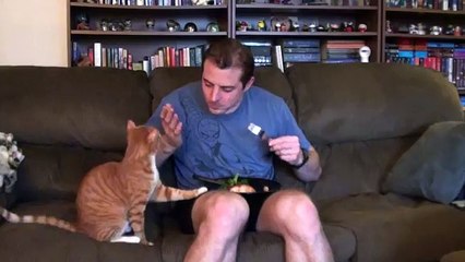 Trying To Eat with a Cat Around!