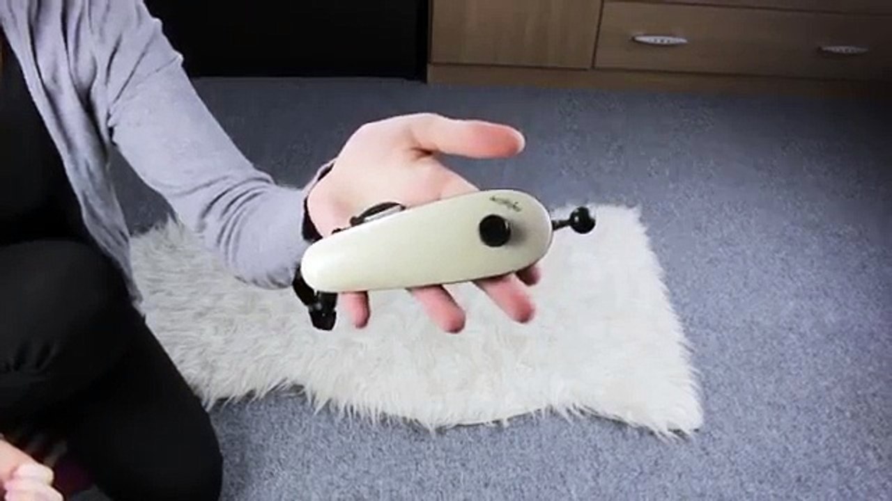 Clickertraining mit Katzen: "Dreh Dich!"