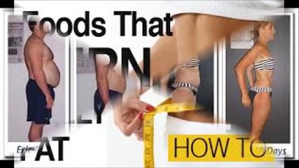 The Aggressive Fat Loss Bible Review | Amazing The Aggressive Fat Loss Bible Review By Matt Marshall