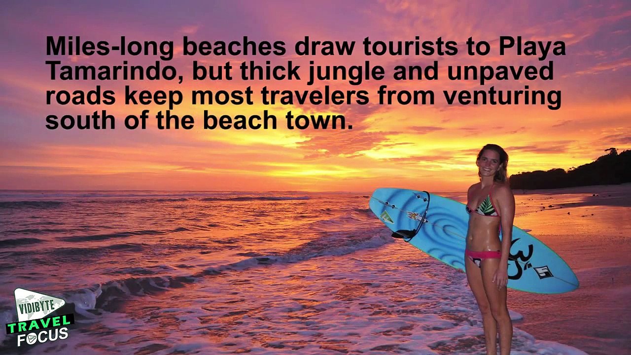Top 10 Surf Schools