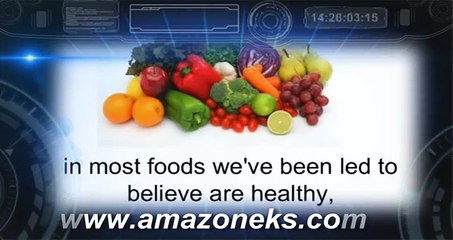 Fat Diminisher Program (1/1)