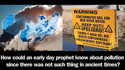 Survive the End Days