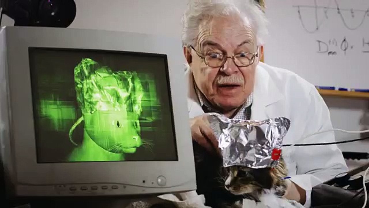 Turbo Smart Option 24 binary options signals http://www.24gotrade.com