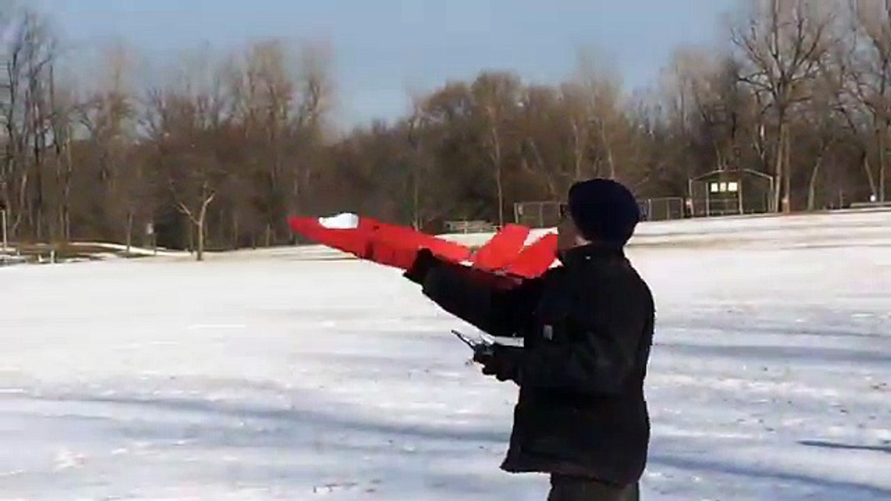 RCPowers F-35 flying low and slow on a bright winter day!