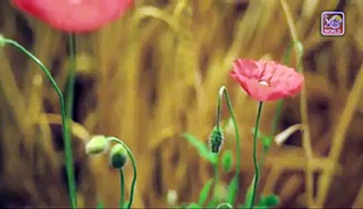 Reham Karo Hamad-E-Bari Tala - Shahida Mini - Presented By Khaliq Chishti