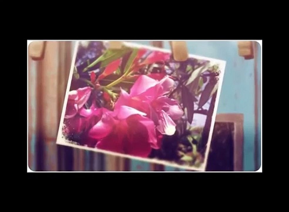 Insta Arts Review