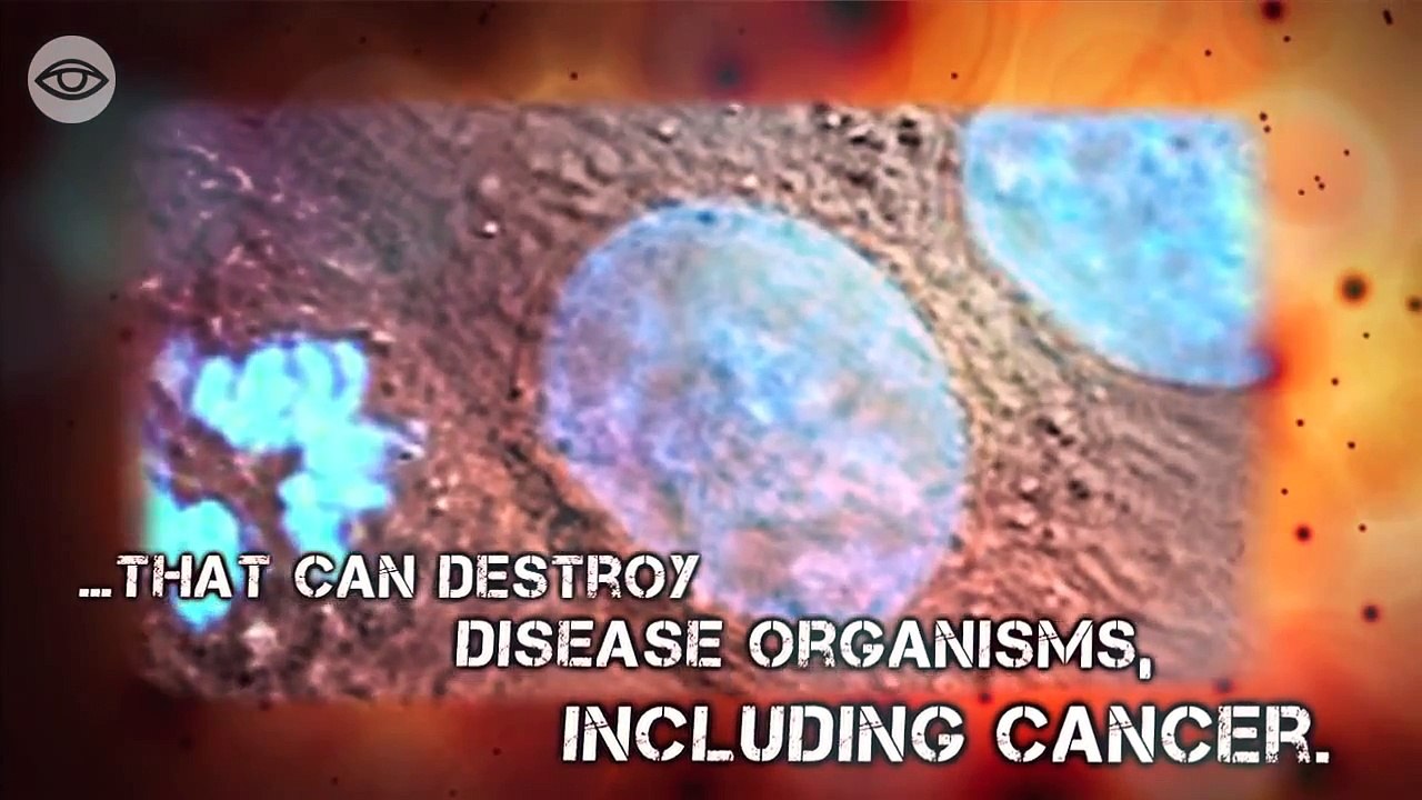 The Cancer Conspiracy