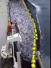 funny vidieo VID-20151021-WA0009